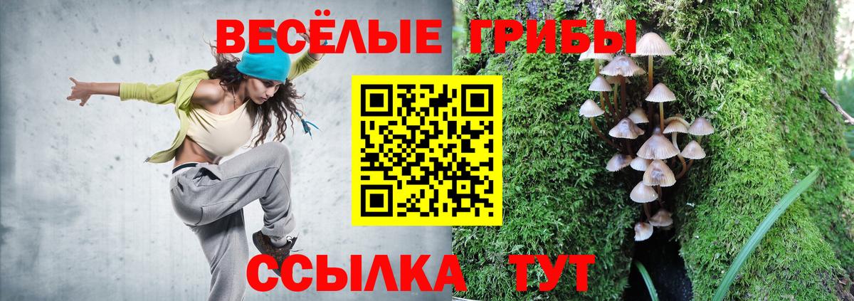 Псилоцибиновые грибы Psilocybine cubensis  Псилоцибиновые грибы Magic Shrooms  Вход с VPN  Ковров 