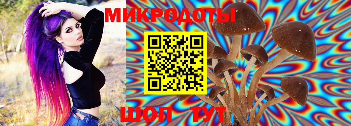 Галлюциногенные грибы GOLDEN TEACHER Ковров